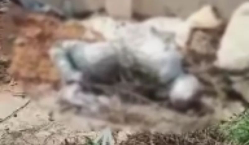 Vídeo: corpo enrolado em saco plástico é encontrado na zona norte de Manaus