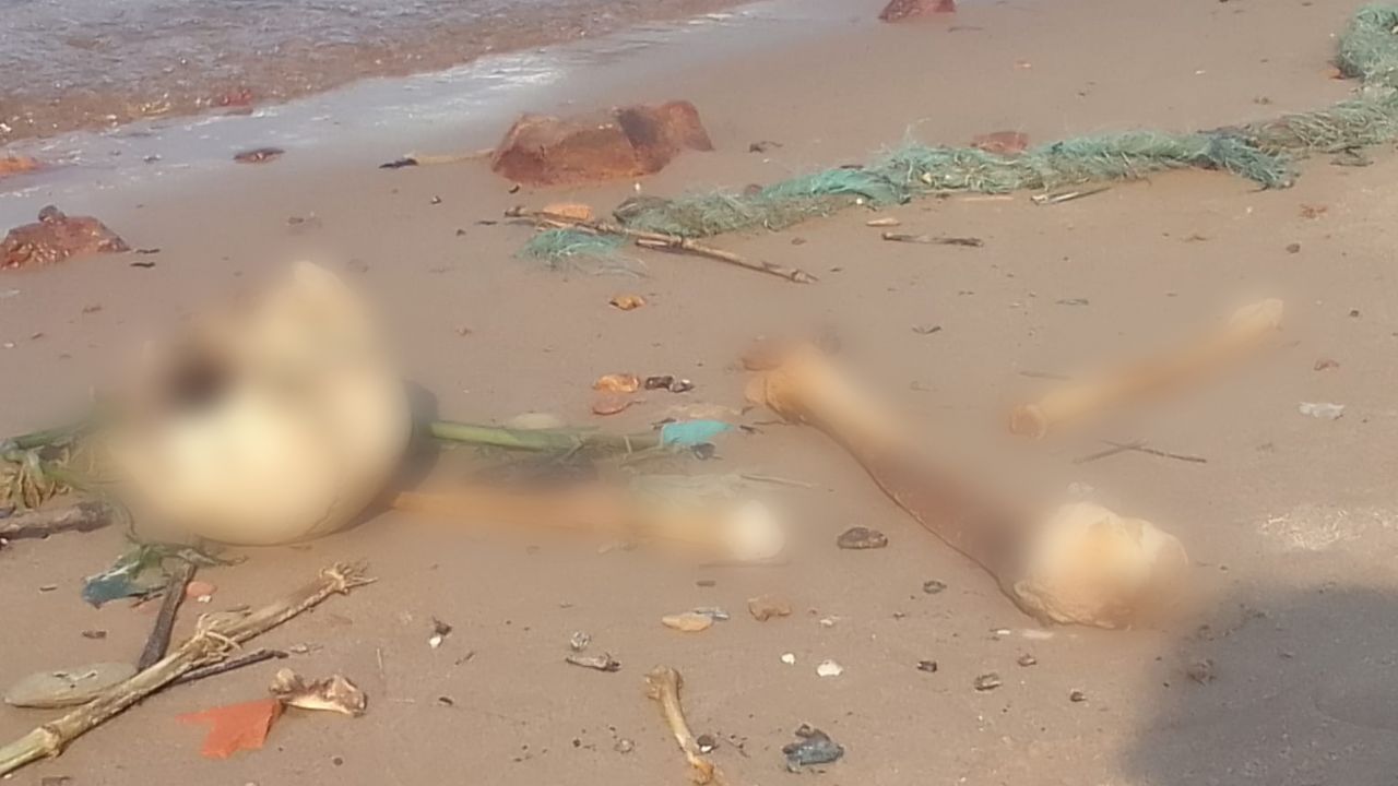 Vídeos: parte de ossada humana é encontrada no Centro de Manaus