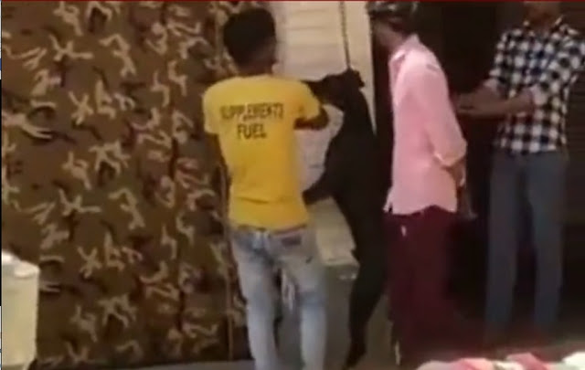 Imagens fortes! Vídeo revolta internautas ao mostrar homens enforcando e matando cachorro na Índia